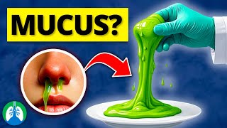 What is Mucus  Medical Definition [upl. by Ynaffital]