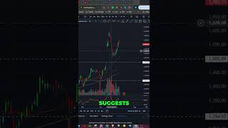 Shocking Bet Nancy Pelosi and Broadcom Stock shorts [upl. by Danell]