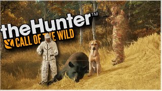 TheHunter Call of the Wild  Trying to keep it Professionalbut not with these two [upl. by Annahavas]