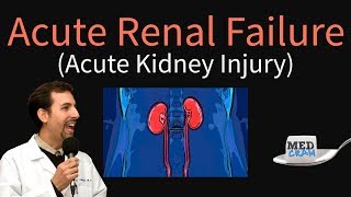 Acute Kidney Injury  Acute Renal Failure Explained Clearly  BUN Creatinine Ratio [upl. by Jonati]