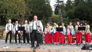 20151004 V ŚLĄSKI FESTIWAL KAPUSTY W ARBORETUM WOJSŁAWICE [upl. by O'Neill]