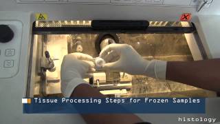 Tissue Processing Steps for Frozen Samples [upl. by Katalin]