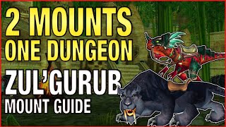 How to get the Swift Zulian Panther Mount amp Armored Razzashi Raptor Mount Guide  ZulGurub Mounts [upl. by Dahlstrom]