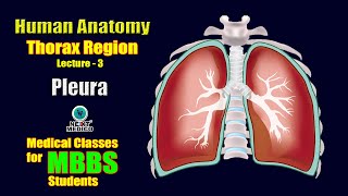 NEXT MEDICO 2022  MBBS  Thorax Region  Pleura Lecture  3 [upl. by Keare]