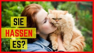 ALLE PERSER KATZEN HASSEN ES WENN DU DAS TUST [upl. by Richel]