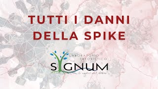 45 Tutti i danni della spike  Unora con Sygnum [upl. by Violetta372]