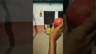 Fast Bowling Variation tips for beginners 🏏sorts sports cricket cricketshorts fastbowling bgt [upl. by Dlawso]