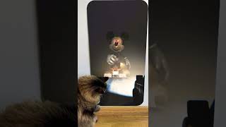 Cat reaction to 😱 mickey mouse s clubhouse 💀😲Skibidi Toilet Song shorts monster creepy scary [upl. by Alcinia]