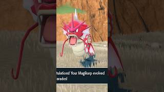 🌟Shiny Magikarp Evolved Into Shiny Gyarados 🌟 Pokémon Violet Shiny Walkthrough [upl. by Mccullough]