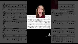 This got mildly terrifying… singing dodgy christmas sheet music [upl. by Ahsilla359]