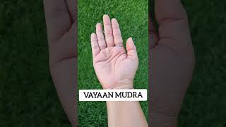 2 Yoga Mudras for Alzhemiers Disease  Vyaan Mudra  Gyan Mudra [upl. by Sansone593]