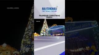 Paandar Christmas trees sa Laguna at Batangas shorts l Balitanghali [upl. by Meil]