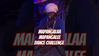 New Dance Alert Mapanglaa Mapangale shorts dancechallenge mapangala mapangale [upl. by Greenebaum363]