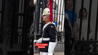 May Way Ladies and Gents history royalhorseguard horse horseguard buckinghampalace [upl. by Ahsekram]