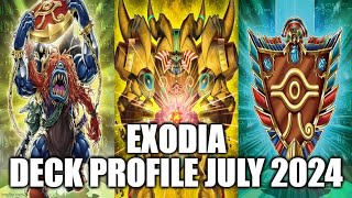 EXODIA DECK PROFILE JULY 2024 YUGIOH [upl. by Low]