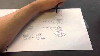 DNA and RNA Viruses Mnemonic for USMLE Step 1 [upl. by Gonsalve]