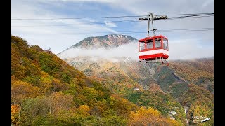 Autumn in JAPAN 2017  เที่ยวญี่ปุ่นช่วงใบไม้เปลี่ยนสี [upl. by Mashe500]