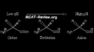 Amino acid affect on pH  BIOCHEMISTRY  MADE EASY protonation and deprotonation [upl. by Richie933]