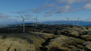 Harapaki Wind Farm is all go and delivering for NZ [upl. by Fin]