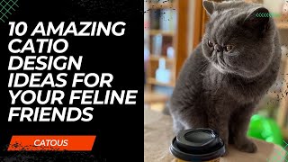 10 Amazing Catio Design Ideas for Your Feline Friends [upl. by Anamor973]