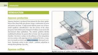 Kanski Clinical Ophthalmology Made Easy  Glaucoma 1 [upl. by Hightower879]