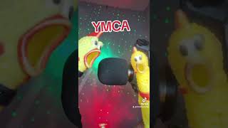 Chicken song YMCA [upl. by Haelahk]