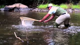 Selecting a Net for Fly Fishing Trout Streams [upl. by Lsil]