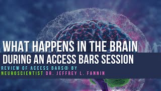 Review of Access Bars® by Neuroscientist Dr Jeffrey L Fannin [upl. by Yrogiarc118]