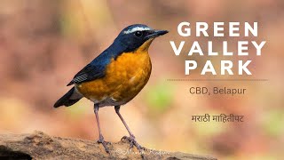 Green Valley Park  Belapur  Birding  Conservation  Marathi info video [upl. by Cullie432]