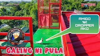 EP419  GRAND POOLING NG CLRPC FULL HD  PUNONG MINISTRO LOFT TV [upl. by Sands]