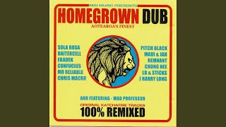 Collie Herb Man Reactor Dub [upl. by Braswell]