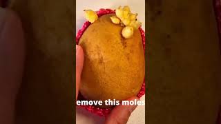 Lets make this potato famous Part1 satisfying relaxing [upl. by Weatherby]