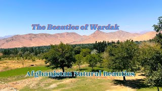 Summer Serenity Exploring the Majestic Views of Wardak Province  Afghanistan Natural Beauties [upl. by Aduhey780]