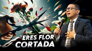 EL SINDROME DE LAS FLORES CORTADAS  PST CARLOS PEREZ  Predica cristiana [upl. by Gnep]