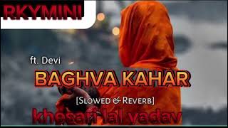 video baghba khar❤️❤️ khesarilalyadav new song lofi navratra Pooja🙏🙏🙏🙏 song trending [upl. by Libbie645]