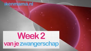 2 weken zwanger Bekijk eerste symptomen en meer informatie over je baby  ikenmamanl [upl. by Hough]