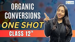 All ORGANIC CONVERSIONS of NCERT Class 12 ONESHOT  Boards  NEET neet cbse cbseboard neet2024 [upl. by Ynafets866]