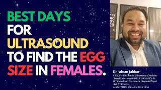 Best Days to Get Ultrasound Done to Identify Egg Size for Females 🩺 Infertility Pregnancy IVF [upl. by Trici]