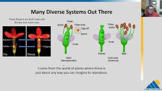 The Division Classes Explained  How Do Classes Work  Division Gameplay [upl. by Latrice]