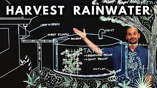 How to HARVEST RAINWATER from your roof [upl. by Silver]