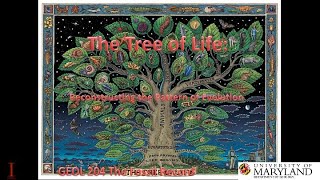 Lecture 8 The Tree of Life Reconstructing the Pattern of Evolution [upl. by Alcock]