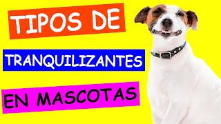 TIPOS de TRANQUILIZANTES para PERROS y GATOS [upl. by Nov]