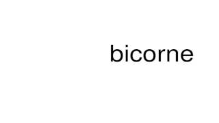 How to pronounce bicorne [upl. by Katharine849]