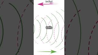 quotHow Sonar Sensors Work The Science Behind Sound Navigationquot [upl. by Erskine]