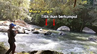 Ternyata sangat ganas mancing mahseer saat air jernih [upl. by Ainar613]