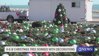 HEB Christmas tree donned with decorations on Friday [upl. by Lubow455]