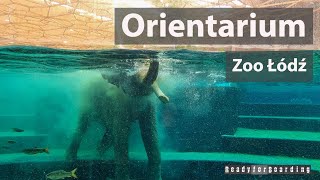 🐘🐒🐟 Orientarium Zoo Łódź  byliśmy i sprawdziliśmy dla Was nowości w łódzkim zoo 🐟🐒🐘 [upl. by Anwaf]