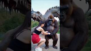 Gorilla good job funny comedyvideos cute funnyanimlas sorts ytshorts viralvideo [upl. by Nolla]