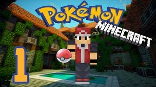 La aventura Pokemon de Frigo Parte 1  Mi primer Pokemon [upl. by Marvel]