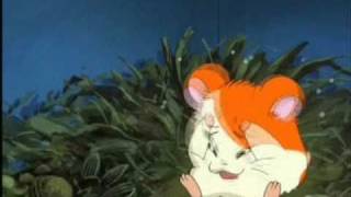 Hamtaro AMV  distance [upl. by Qifar]